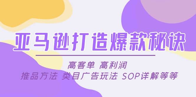 亚马逊打造爆款秘诀：高客单 高利润 推品方法 类目广告玩法 SOP详解等等-天天有课网