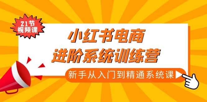 小红书电商进阶系统训练营：新手从入门到精通系统课（21节视频课）-天天有课网