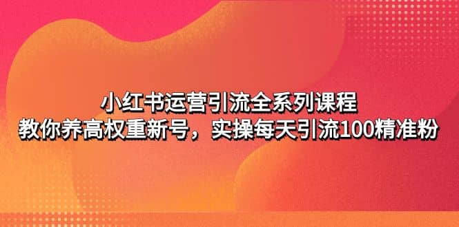 小红书运营引流全系列课程：教你养高权重新号-天天有课网
