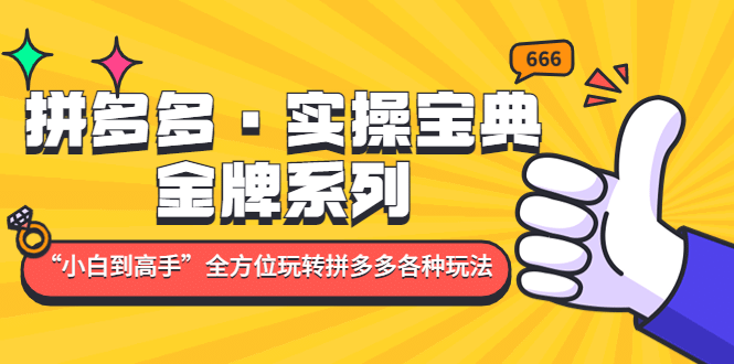 拼多多·实操宝典：金牌系列“小白到高手”带你全方位玩转拼多多各种玩法-天天有课网