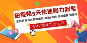 短视频5天快速暴力起号,三频共振百万实操案例 算法6件套 底层逻辑 爆爆爆-天天有课网