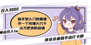 拼多多虚拟开店打卡群：新手到入门到精通-天天有课网