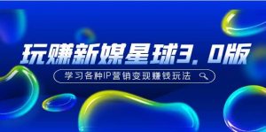 《玩赚新媒星球3.0版》学习各种IP营销变现玩法（价值498）-天天有课网