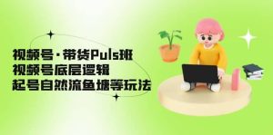 视频号·带货Puls班，视频号底层逻辑，起号自然流鱼塘等玩法-天天有课网