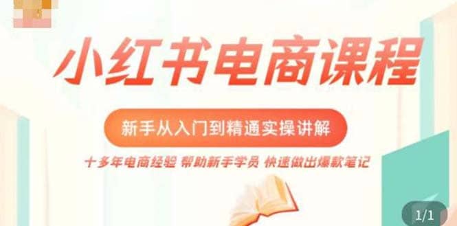 小红书电商新手入门到精通实操课，从入门到精通做爆款笔记，开店运营-天天有课网