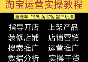 2023淘宝开店教程0基础到高级全套视频网店电商运营培训教学课程（2月更新）-天天有课网