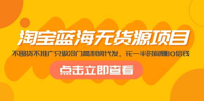 淘宝蓝海无货源项目，不囤货不推广只做冷门高利润代发-天天有课网