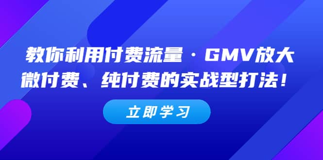 教你利用付费流量·GMV放大，微付费、纯付费的实战型打法-天天有课网