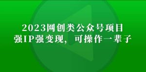 2023网创类公众号项目，强IP强变现，可操作一辈子-天天有课网