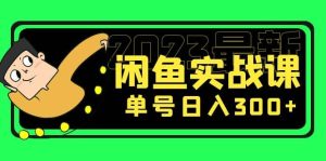 花599买的闲鱼项目：2023最新闲鱼实战课（7节课）-天天有课网