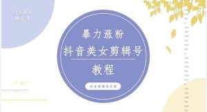 抖音快手暴力涨粉美女混剪视频教程 百分百过原创图片教程 附带违规申诉方法-天天有课网