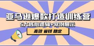 亚马逊爆款打造训练营：5大核心逻辑+案例展示 打造爆款链接 高效 省钱 稳定-天天有课网