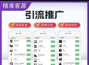 微信简单易上手引流方法，无门槛 小白即可操作 日引流300+【详细玩法教程】-天天有课网
