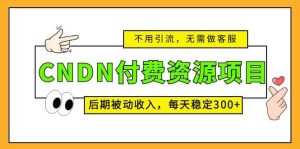 CNDN付费资源项目，不用引流，无需做客服，后期被动收入-天天有课网