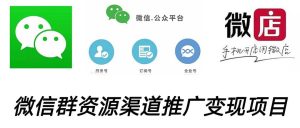 微信群码资源渠道内循环推广变现项目，多种变现方式，打通你的管道收益-天天有课网