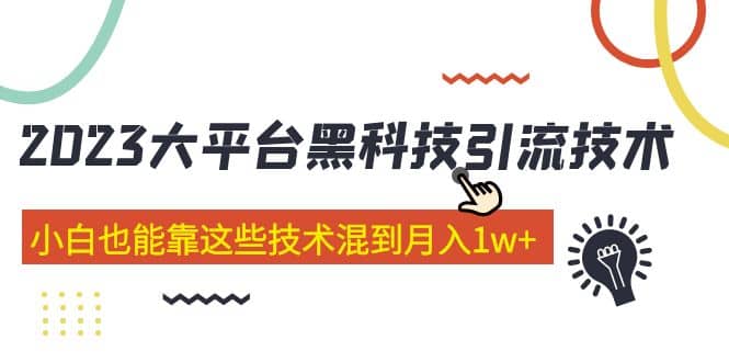 价值4899的2023大平台黑科技引流技术 29节课-天天有课网