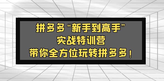 拼多多“新手到高手”实战特训营：带你全方位玩转拼多多-天天有课网