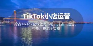 TikTok小店运营 抢占TikTok全球蓝海市场，开店、运营、带货、投流全实操-天天有课网