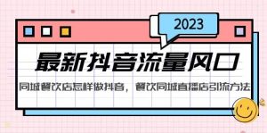 2023最新抖音流量风口，同城餐饮店怎样做抖音，餐饮同城直播店引流方法-天天有课网