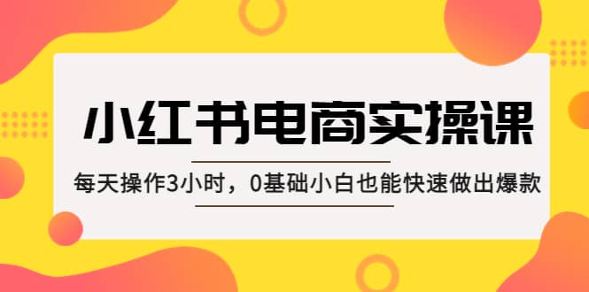 小红书·电商实操课：每天操作3小时，0基础小白也能快速做出爆款-天天有课网