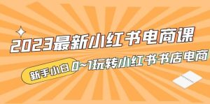 2023最新小红书·电商课,新手小白从0~1玩转小红书书店电商-天天有课网