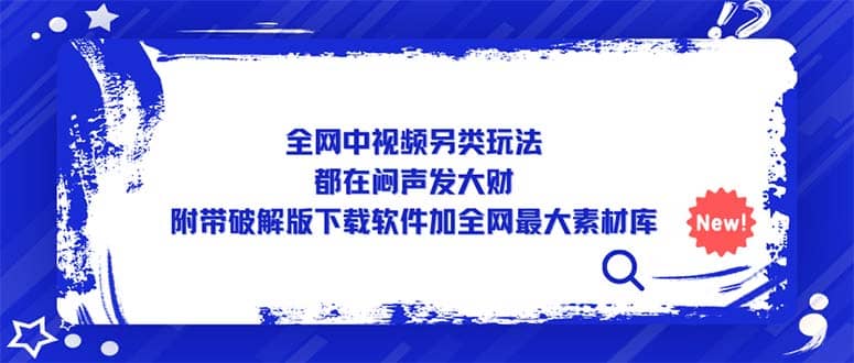 全网中视频另类玩法，都在闷声发大财，附带下载软件加全网最大素材库-天天有课网