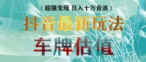 抖音最新无人直播变现直播车牌估值玩法项目 轻松日赚几百+【详细玩法教程】-天天有课网