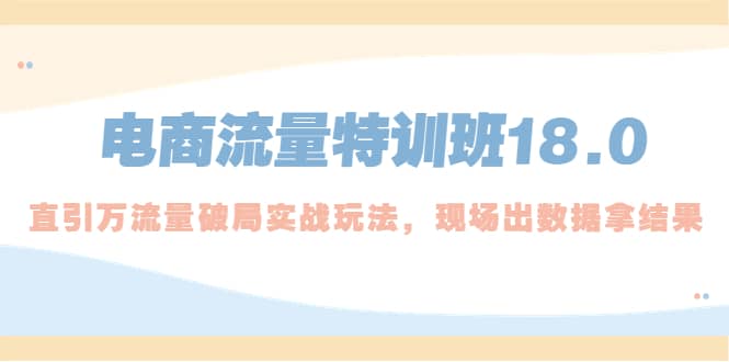 电商流量特训班18.0，直引万流量破局实操玩法，现场出数据拿结果-天天有课网