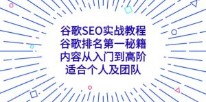 谷歌SEO实战教程:谷歌排名第一秘籍,内容从入门到高阶,适合个人及团队-天天有课网