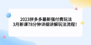 2023拼多多最新强付费玩法，3月新课78分钟详细讲解玩法流程-天天有课网