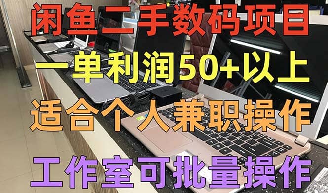 闲鱼二手数码项目，个人副业低保收入，工作室批量放大操作-天天有课网