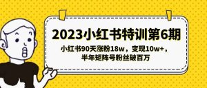 2023小红书特训第6期，小红书90天涨粉18w，变现10w+，半年矩阵号粉丝破百万-天天有课网