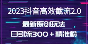 日引300+创业粉,独家抖音高效截流2.0玩法(价值1280)-天天有课网