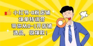 小红书·0粉店铺爆单特训营 带你从0-1开店铺，选品，做爆款（课程+工具包）-天天有课网