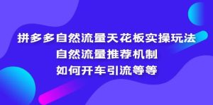 拼多多自然流量天花板实操玩法：自然流量推荐机制，如何开车引流等等-天天有课网