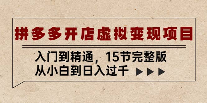 拼多多开店虚拟变现项目：入门到精通（15节完整版）-天天有课网