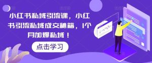 小红书私域引流课,小红书引流私域成交秘籍,1个月加爆私域-天天有课网