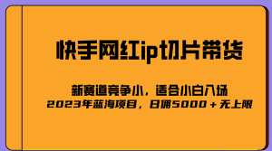 2023爆火的快手网红IP切片，号称日佣5000＋的蓝海项目，二驴的独家授权-天天有课网