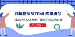 跨境拼多多TEMU实操选品运营方法,选品避坑12条标准,爆款的底层思路等-天天有课网
