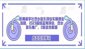 听潮阁学社汽水音乐项目实操课全流程，2023超级蓝海项目，汽水音乐推广，0粉丝也能做-天天有课网