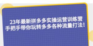 23年最新拼多多实操运营训练营：手把手带你玩转多多各种流量打法！-天天有课网