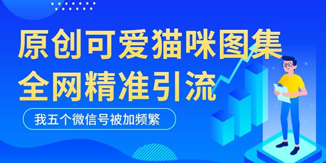 黑科技纯原创可爱猫咪图片，全网精准引流，实操5个VX号被加频繁-天天有课网