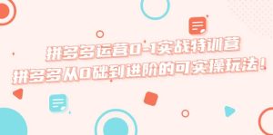 拼多多运营0-1实战特训营,拼多多从0础到进阶的可实操玩法-天天有课网