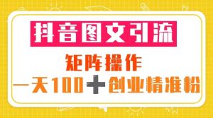 抖音图文引流 矩阵操作 一天100+创业精准粉（5节视频课+素材模板）-天天有课网