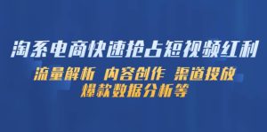 淘系电商快速抢占短视频红利:流量解析 内容创作 渠道投放 爆款数据分析等-天天有课网