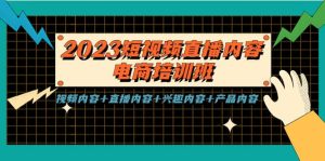 2023短视频直播内容·电商培训班，视频内容+直播内容+兴趣内容+产品内容-天天有课网