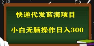 2023最新蓝海快递代发项目，小白零成本照抄-天天有课网