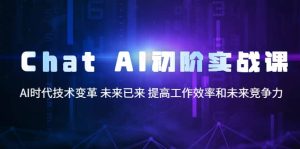 Chat AI初阶实战课，AI时代技术变革 未来已来 提高工作效率和未来竞争力-天天有课网