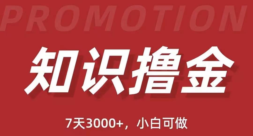 抖音知识撸金项目：执行力强当天见收益(教程+资料)-天天有课网