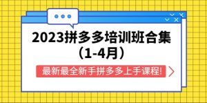 2023拼多多培训班合集(1-4月),最新最全新手拼多多上手课程!-天天有课网